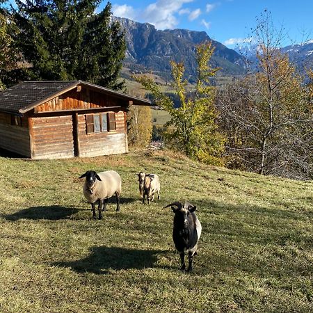 Encia'S Home Dolomiti Castello-Molina di Fiemme ภายนอก รูปภาพ